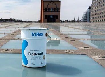 Triflex image