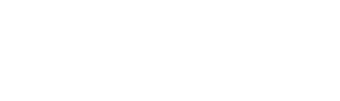 PIK AG